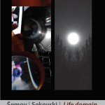 2011-11-00_Shemov-Sekovski; Life Domain (Atelje Dado)